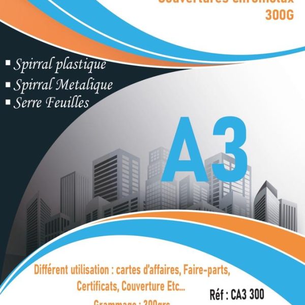 Papier Couché A3 300G