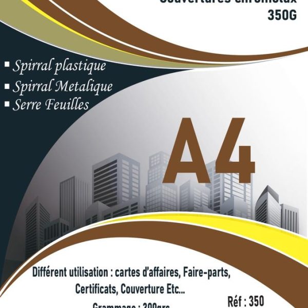 Papier Couche A4 350G