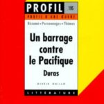Un barrage contre le Pacifique (1950), Marguerite Duras  - Résumé, personnages, thèmes