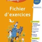 Le nouveau Millefeuille CE2 - cahier d'activités - éd 2017