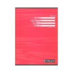 Cahier de Dessin Calligraphe 96 pages - 24*32 - 120 g - Piqué