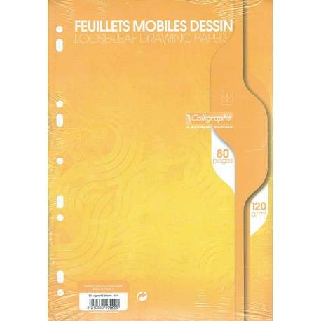 829-large_default-1.jpg Feuilles de Dessin Calligraphe 80 pages - A4 - 120g - Perforées – Image 1