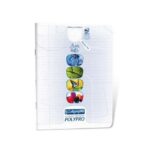 Cahier TP Polypro Calligraphe 64p - 17x22 - Transparent 90g - Piqué - Grands Carreaux