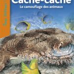 Cache-cache  - Le camouflage des animaux Cycles 2 et 3 niveau 3