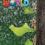 Explore Our World 1 Sbk - 2nd Ed