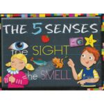 J'ECRIS ET J'EFFACE - THE 5 SENSES