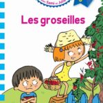 J'apprends à lire avec Sami et Julie - Fin de CP
