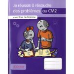Je réussis à résoudre des problèmes au CM2 avec Bout de Gomme