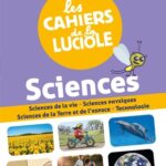Les cahiers de la luciole CE2 - ed. 2021 - découverte du monde - Programme Marocain