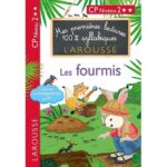 Les fourmis  - CP Niveau 2
