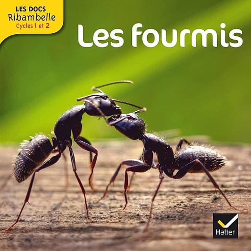 Les20fourmis2020-20Grande20section2C20CP2C20CE12028Cycle20229.jpg Les fourmis - Grande section, CP, CE1 (Cycle 2) – Image 1