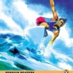 Surfer