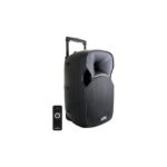 Haut-Parleur DIGITAL amplifié MASTER BQ-08 avec 2 Microphones sans fil  + Télécommande sans fil